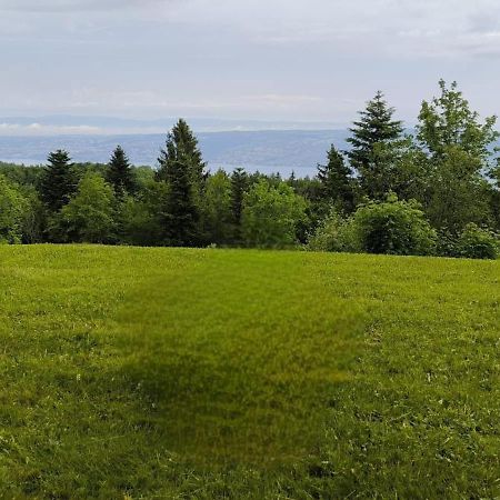 Le Panoramic Thollon-les-Memises Exterior foto