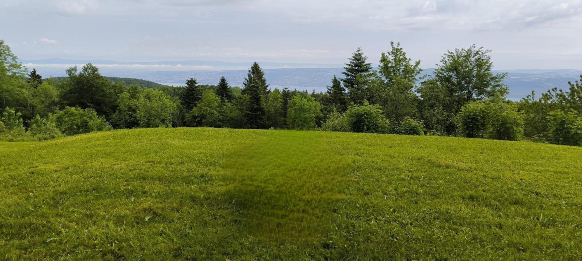 Le Panoramic Thollon-les-Memises Exterior foto